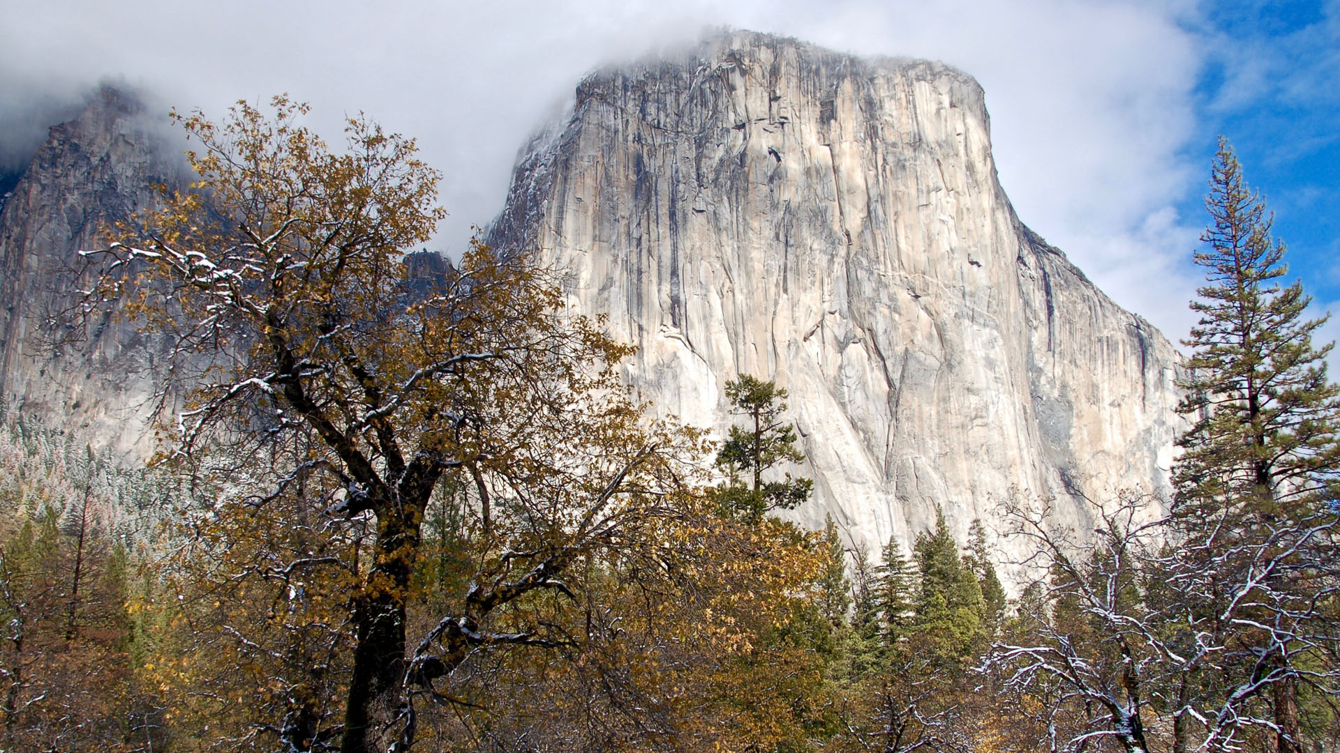 Road Trip to Five National Parks Near Los Angeles