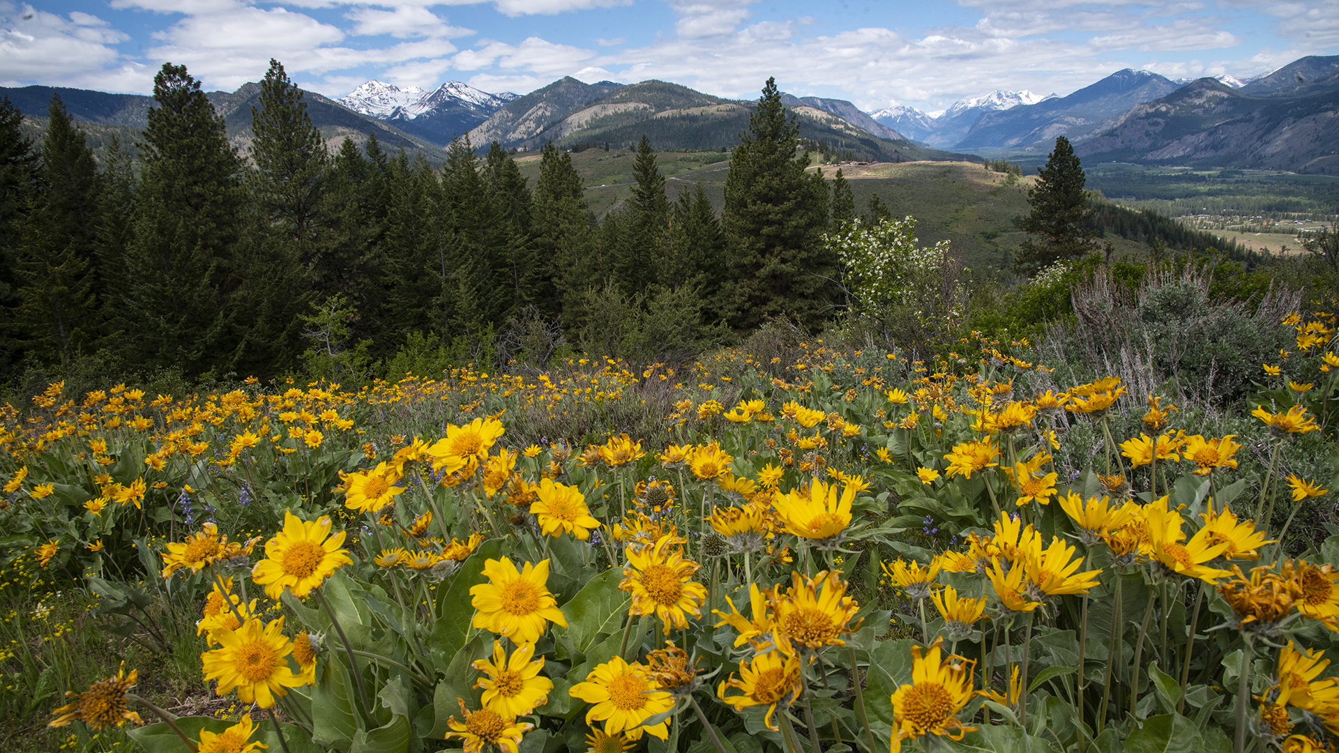 Cascades Loop Road Trip